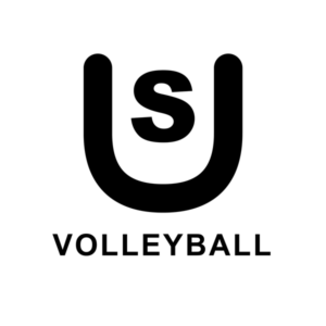 Icon SPORTUNION Sattledt Volleyball Mono (transparent)