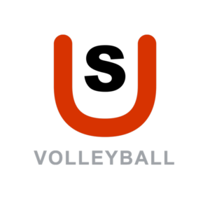 Icon SPORTUNION Sattledt Volleyball (transparent)